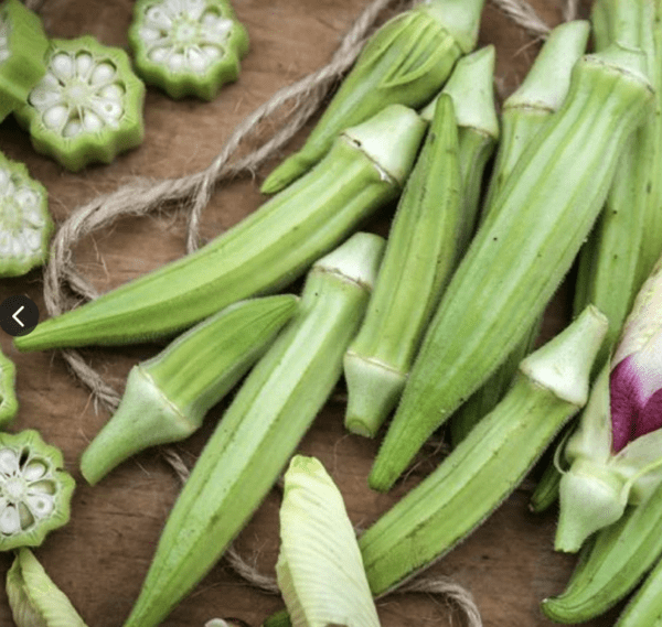 Okra -  Burmese (3.25" pot)